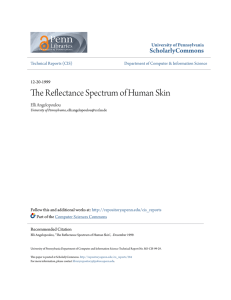 The Reflectance Spectrum of Human Skin