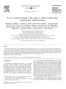 In vivo confocal imaging of the retina in animal models using