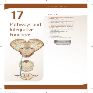17. Pathways and Integrative Functions
