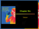 chapter 6 vision
