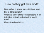 How do they get their food?