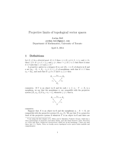 Projective limits of topological vector spaces