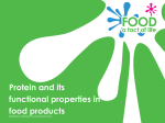 Protein and its functional properties in food