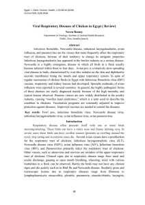 Viral Respiratory Diseases of Chicken in Egypt ( Review)