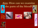 Circulation - Blood 12 slides
