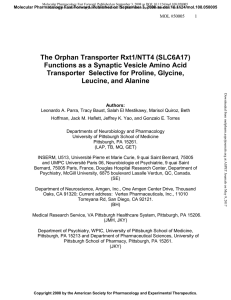 The Orphan Transporter Rxt1/NTT4 (SLC6A17)