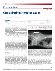 Cardiac Pacing Site Optimization