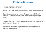 Protein Structure