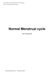 Normal Menstrual cycle