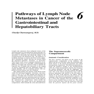 Pathways of Lymph Node Metastases in Cancer of the
