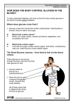 How does the body control glucose in the blood?