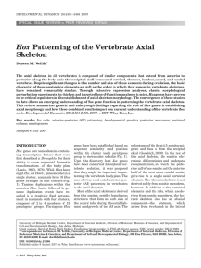 Hox patterning of the vertebrate axial skeleton