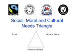 Social, Moral and Cultural Needs Triangle