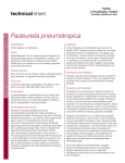 Pasteurella pneumotropica - Charles River Laboratories