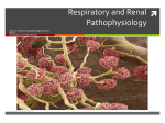 Respiratory Interface