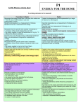 GCSE Physics criteria sheet