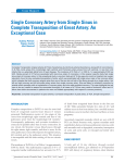 Single Coronary Artery from Single Sinus in Complete Transposition