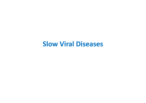 Slow Viral Diseases