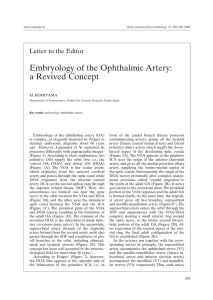 Embryology of the Ophthalmic Artery: a Revived Concept