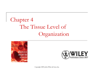 Chapter_4_Tissue_Power_Point