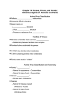 Viruses, Prions, and Viroids: