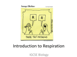 Respiration - King`s General Science