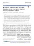 Macrolides and associated antibiotics based on similar mechanism