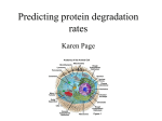 Predicting protein degradation rates