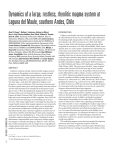 Dynamics of a large, restless, rhyolitic magma system at Laguna del