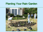 Are rain gardens wet? - Northern Virginia Regional Commission