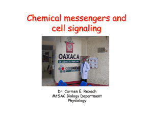 Chemical messengers and cell signaling Chemical messengers and