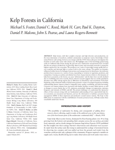 Kelp Forests in California
