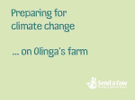 Climate-change-on-olingas-farm.