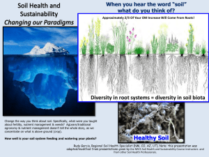 Diversity in root systems = diversity in soil biota Healthy Soil