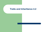 Traits and Inheritance 4