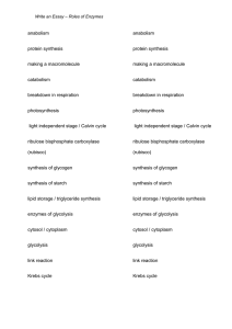 Roles of enzymes