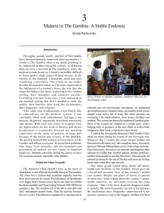 Malaria in The Gambia: A Stable Endemic