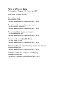 Parts of a Neuron Song