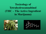 Toxicology of Tetrahydrocannabinol (THC – The Active Ingredient in