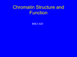 Chromatin Structure and Function