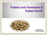 Probiotic Lactic Fermentation of Soybean/Soymilk