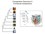 I. Comparing genome sequences