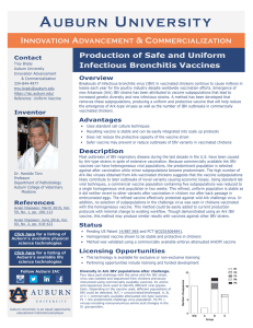 Production of Safe and Uniform Infectious Bronchitis Vaccines