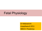 Maternal Physiology