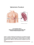 Splenectomy Procedure - American Medical Education