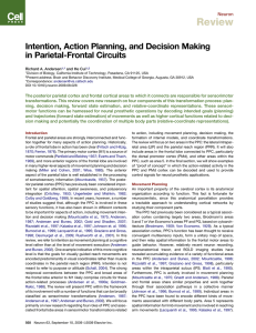 Intention, Action Planning, and Decision Making in Parietal