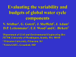 Evaluating the variability and budgets of global water cycle
