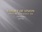 Theory of Vision: What We Can Easily See