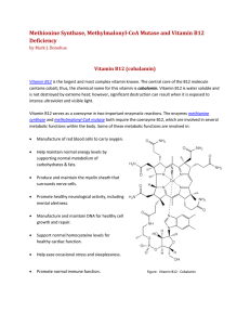 Methionine Synthase, Methylmalonyl-CoA Mutase and