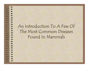 An Introduction To A Few Of The Most Common Diseases Found In